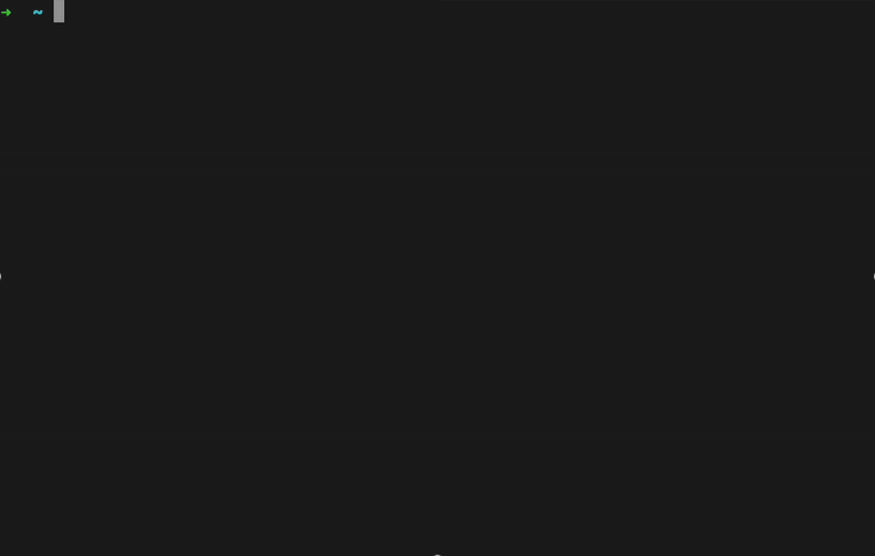 Term-V0 Demo